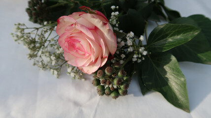 splendid bouquet of roses with sunny reflections on a white background