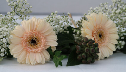 beautiful cream white gerbera surrounded by baby's breath and ivy with fruits