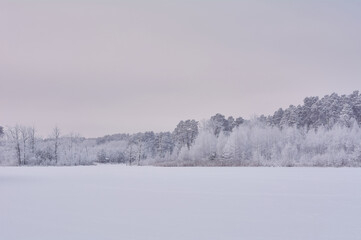 winter landscape