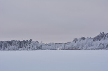 winter landscape