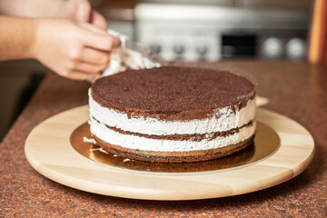 Young woman decorating a freshly baked cake in her kitchen.