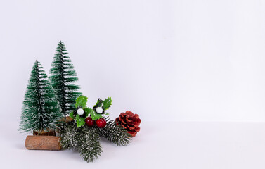 Close-up of two Christmas flowering trees isolated with a white background