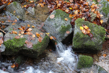 Rückersbacher Schlucht bei Hörstein im Spessart