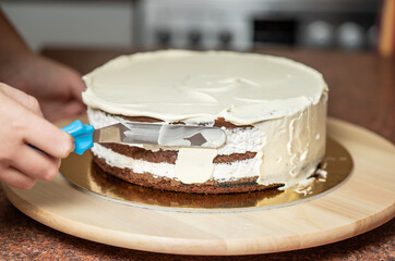 Young woman decorating a freshly baked cake in her kitchen.