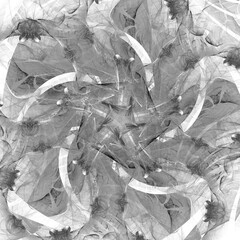 Abstract fractal illustration for creative design looks like flower.