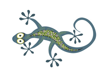 Vector illustration of lizard isolated on white. Cute cartoon animal with flowers decoration. Doodle style painting. Male lizard