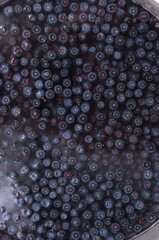 Top view of blueberries floating in water