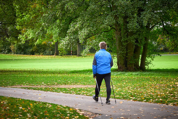 Fototapeta premium Unidentified Man walking in a park using trekking poles. Autumn season, fall 