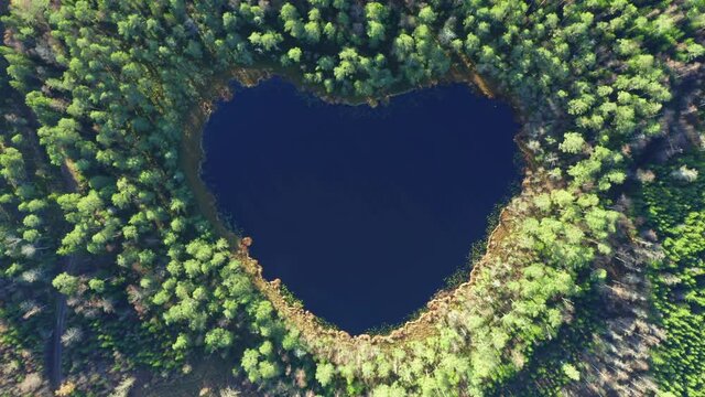 Natural phenomenon lake in heart from. Let love rule peace symbol sign in nature. Overhead aerial view. Save the planet go green theme