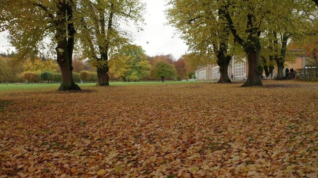 Autumn alley and leaves in slow motion shot. Leaf blanketing the ground in a park. Low angle slow motion shot wind blowing leave flying and falling. Great fall video
