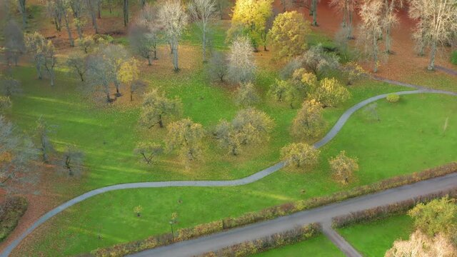 Apple and fruit trees in autumn from above i drone aerial view. Fall colors forest and green field in park countryside with small road and path on golden day