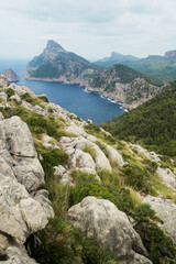 Fototapeta na wymiar Wild Nature in Palma de Mallorca