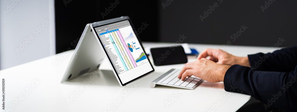 Poster analyst employee using spreadsheet