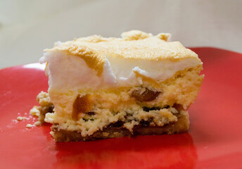 Piece of homemade pie