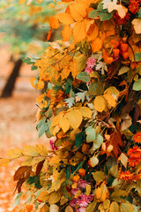 Part of a colorful wedding arch of autumn leaves and flowers. Closeup.