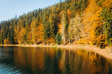 Beautiful autumn landscape. Reflection of colored trees in the lake