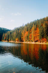 Beautiful autumn landscape. Reflection of colored trees in the lake