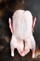 Raw whole farm duck on old dark background, top view