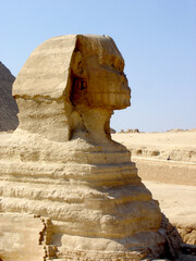 Sphinx in profile against the background of yellow sand and blue sky