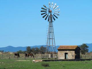 Old windmill in the field and grazing horses. Maremma Natural Park, Tuscany. Italy.