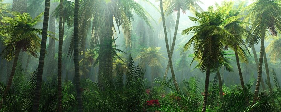 Jungle, rainforest during the plank, palm trees in the morning in the fog, jungle in the haze