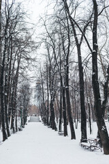 Russian winter, river bridge in the Park.Snow and ice on the road.