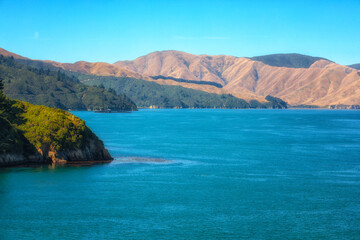 Obraz premium Marlborough Sounds, New Zealand