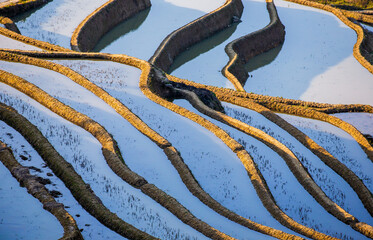 Rice terraces in Yuanyang County. Yunnan Province. China.