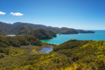 Fototapeta na wymiar Abel Tasman National Park, Tasman District, New Zealand
