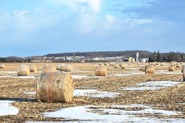 Round Bales in the Field