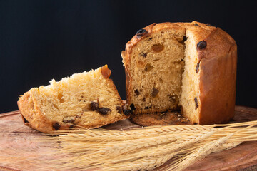 Panettone is the traditional Italian dessert for Christmas. Christmas Party.