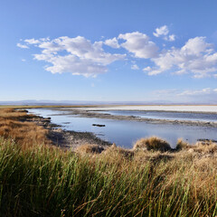 Salt lake in Atacama desert with white salt crust and blue water, Chile