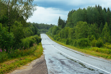 road through the forest