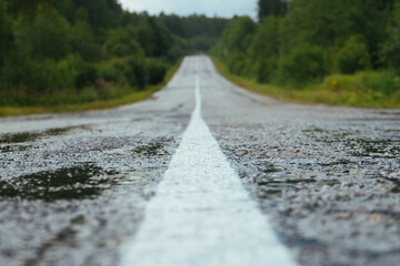 asphalt road among the trees