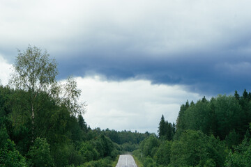 road through the forest
