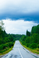 road through the forest