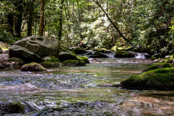 Obraz premium Sun Highlights Mossy Rocks in West Prong
