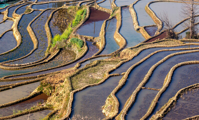 Rice terraces in Yuanyang County. Yunnan Province. China.