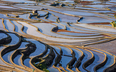Rice terraces in Yuanyang County. Yunnan Province. China.