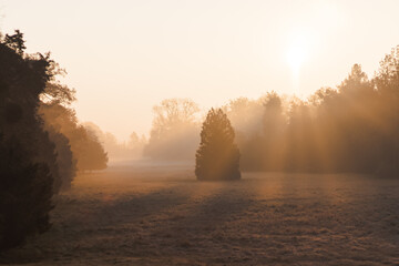 Foggy sunrise in the nature