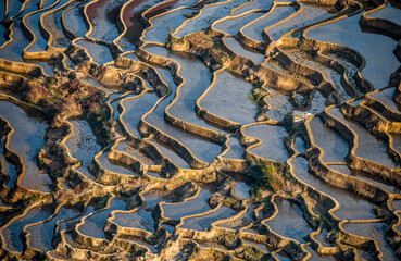 Rice terraces in Yuanyang County. Yunnan Province. China.