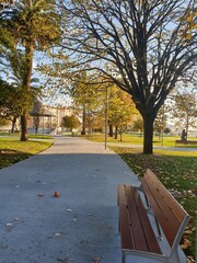 park in autumn