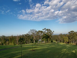 Beautiful view of a park with green grass and tall trees and deep blue sky with light clouds in the background, Heritage park, Castle Hill, Sydney, New South Wales, Australia
