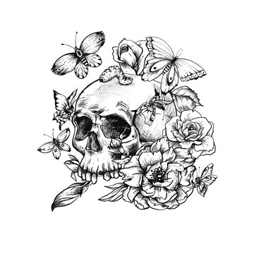 Vintage goth skull with butterdlies and flowers