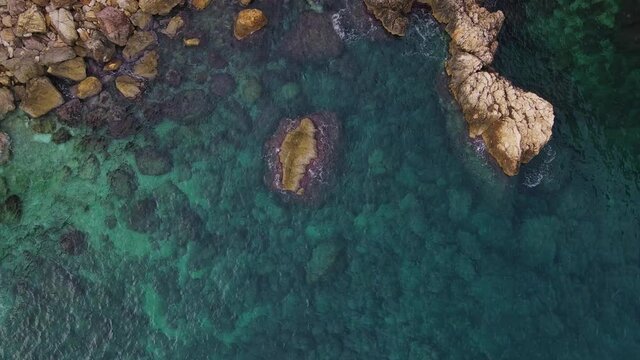 Blue Ocean