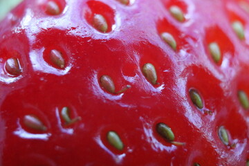 close up image of strawberries
