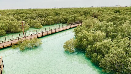 the river in the garden of mangroves in Abu Dhabi
