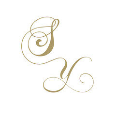 gold monogram script letters s