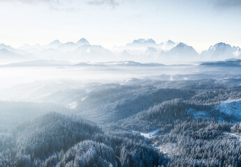 Aerial view on forest and mountains in winter time. Natural winter landscape from air. Forest under...