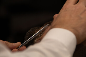 Big Close detailing a beard shave